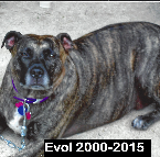 Evol 2000-2015